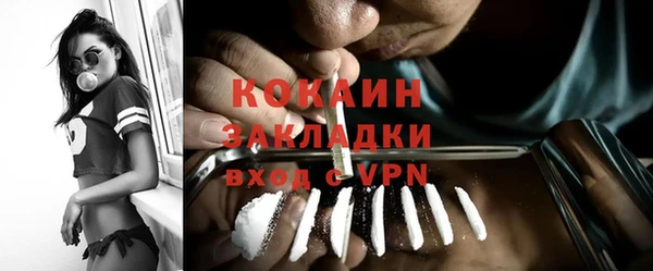 винт Абаза