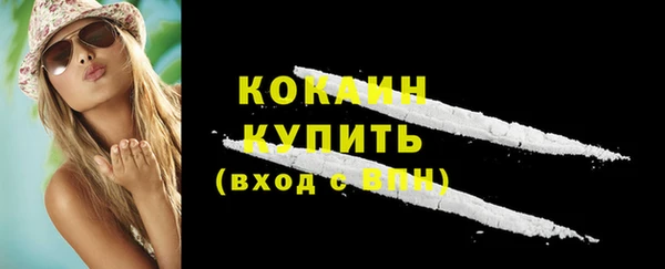 винт Абаза