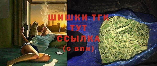 винт Абаза