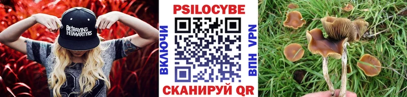 Галлюциногенные грибы MAGIC MUSHROOMS Усинск